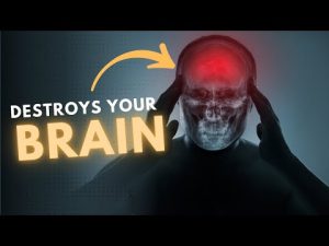 Read more about the article 5 Foods That Are Destroying Your Brain and Intelligence