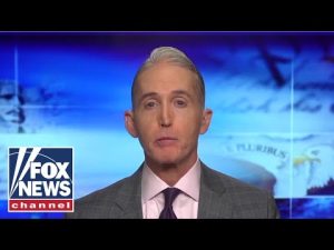 Read more about the article Trey Gowdy reflects on 1 year of ‘Sunday Night in America’