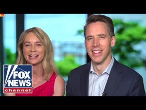 Read more about the article Hawley: The left has really turned anti-Democratic