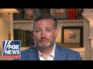 Read more about the article Leftists want people to be ‘defenseless’ when protecting their families: Ted Cruz