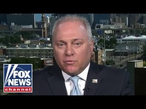 Read more about the article Rep. Scalise counters gun control push: We need to focus more on prevention