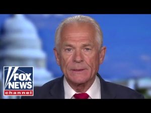 Read more about the article Peter Navarro speaks out following arrest: This is unprecedented