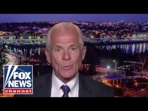 Read more about the article Peter Navarro: I’m collateral damage