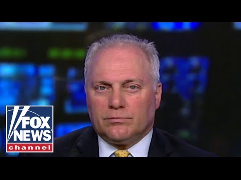 You are currently viewing Democrats only want power: Scalise