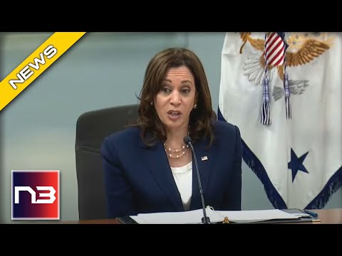 You are currently viewing As Americans Suffer, Kamala Announces Sending $1.9 Billion To Foreign Country