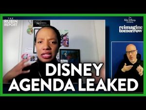 Read more about the article Disney Exec. Caught on Tape Admitting Her Controversial Agenda | ROUNDTABLE | Rubin Report