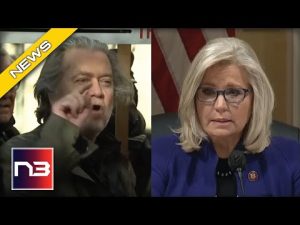 Read more about the article GAME ON: Steve Bannon Gives Pelosi The Middle Finger With Recent Move