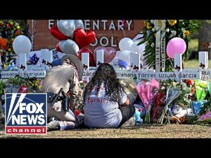 Read more about the article Curtailing Mass Shootings, What Steps Can America Take? | The Fox News Rundown