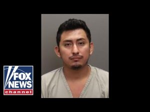 Read more about the article Alleged rapist of 10-year-old in Ohio is illegal immigrant