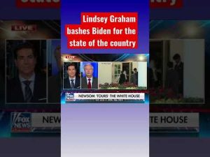 Read more about the article Sen. Lindsey Graham rips Biden as being toxic for the Democratic Party #shorts