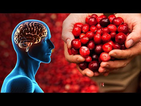 You are currently viewing The Fruit Everyone Should Eat To Prevent Brain Diseases