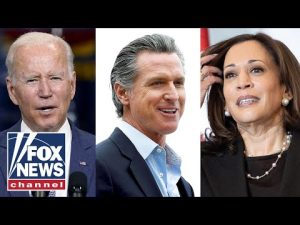 Read more about the article Americans weigh in: What Democrat should run for president in 2024?