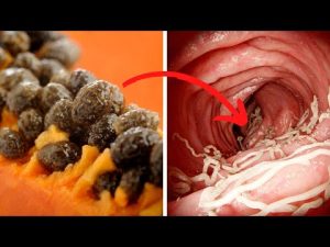 Read more about the article How to Banish Parasites with Papaya Seeds