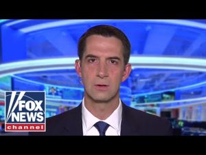 Read more about the article Sen. Cotton: Saudi Arabia is a ‘reliable ally’ for America against Iran