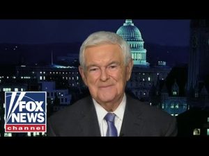 Read more about the article This is what Republicans need to do to win back the Senate: Gingrich