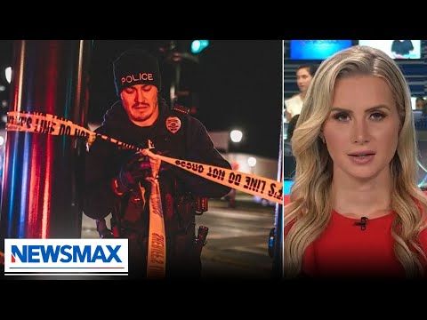 You are currently viewing SPECIAL REPORT: Are ‘good guys with guns’ actually stopping crimes?