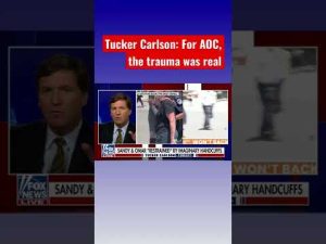 Read more about the article Tucker Carlson: AOC and Ilhan Omar were put in invisible handcuffs #shorts