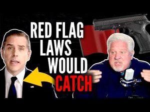 Read more about the article Why Hunter Biden should’ve been CAUGHT by red flag laws