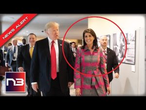 Read more about the article Nikki Haley BUCKS Trump And Makes Presidential Announcement