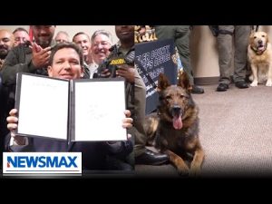 Read more about the article Ron DeSantis: We must recognize our K9’s in law enforcement