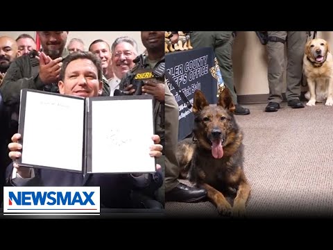 You are currently viewing Ron DeSantis: We must recognize our K9’s in law enforcement