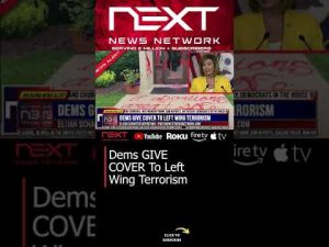 Read more about the article Dems GIVE COVER To Left Wing Terrorism #shorts