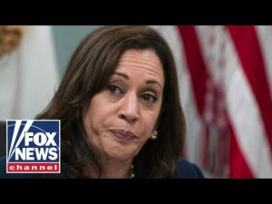 Read more about the article Hilton: Kamala panders to far-left despite moderate past