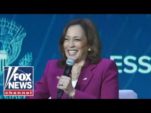 Read more about the article Kamala Harris ‘laughs off’ Americans struggling to afford gas