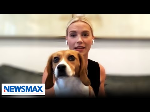 You are currently viewing Beagles rescued from Fauci-funded lab experiments | Eric Bolling The Balance on Newsmax