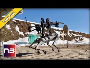 Read more about the article WHAT This Robot Dog Does With a Machine Gun is a Dystopian Nightmare