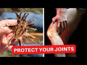 Read more about the article Make Tea with This Herb to Stop Joint Pain