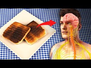 Read more about the article If Your Toast Looks Like That, Don’t Eat It! Here’s Why…