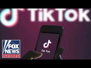 Read more about the article TikTok secrets revealed