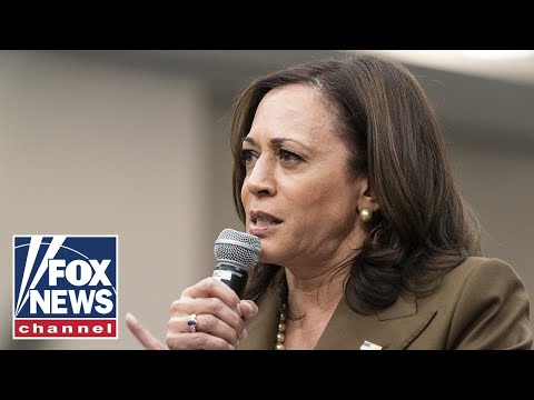 You are currently viewing VP Harris loses another high-profile staffer amid mass exodus