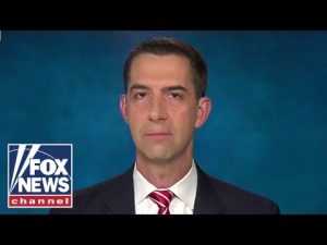 Read more about the article Sen. Cotton: The problem here is Joe Biden