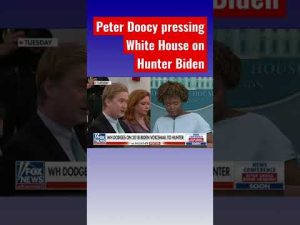 Read more about the article White House refusing to answer Peter Doocy’s Hunter Biden question #shorts