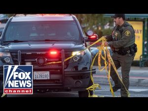 Read more about the article How Can You Stop A Mass Shooter? | The Fox News Rundown