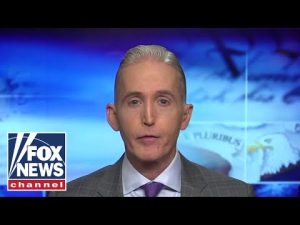 Read more about the article Trey Gowdy: ‘The right to stay alive’