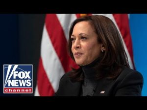 Read more about the article Kamala Harris ripped for clash with Gov. Abbott