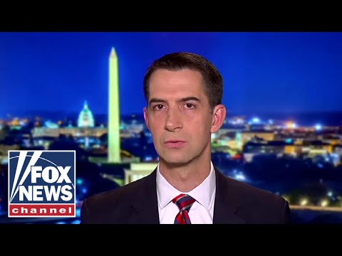 You are currently viewing We need to hold Dems accountable for destroying our kids: Cotton