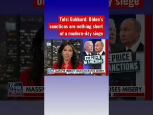 Read more about the article Tulsi Gabbard exposes the ‘energy crisis’ #shorts