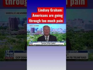 Read more about the article Lindsey Graham calls out ‘endless effort to destroy Donald Trump’ #shorts