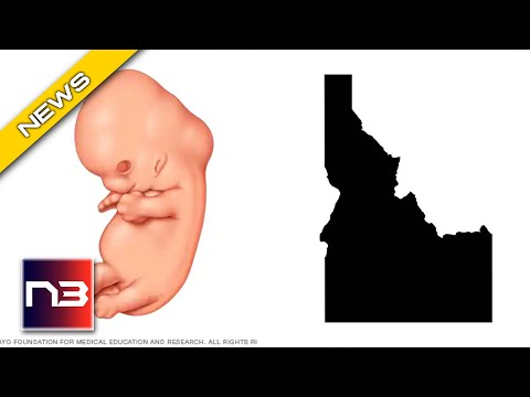 You are currently viewing Trigger Law Triggered: Idaho Supreme Court Rules On Abortion Ban