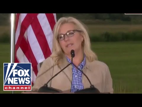 You are currently viewing Liz Cheney concedes