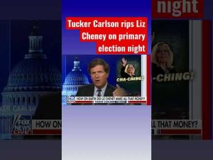 Read more about the article Tucker Carlson: How did Liz Cheney get so rich? #shorts