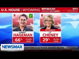 Read more about the article Clearly Liz Cheney has late-stage ‘Trump Derangement Syndrome’ | Claudia Tenney | ‘Wake Up America’