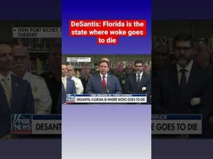 Read more about the article DeSantis: We won’t allow Florida to become a ‘woke dumpster fire’