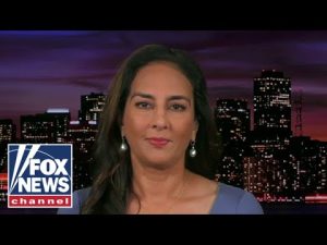 Read more about the article Harmeet Dhillon: Affidavit will likely show ‘virtually nothing’ after redactions