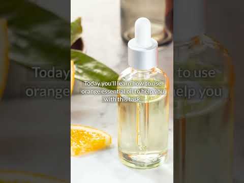 Read more about the article Put A Few Drops Of This Oil And Say Goodbye To Termites