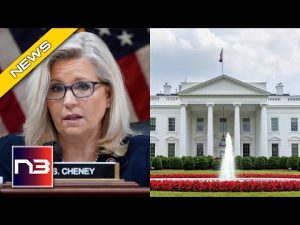 Read more about the article HAHA! Liz Cheney’s 2024 Dreams CRUSHED By Political Strategists!